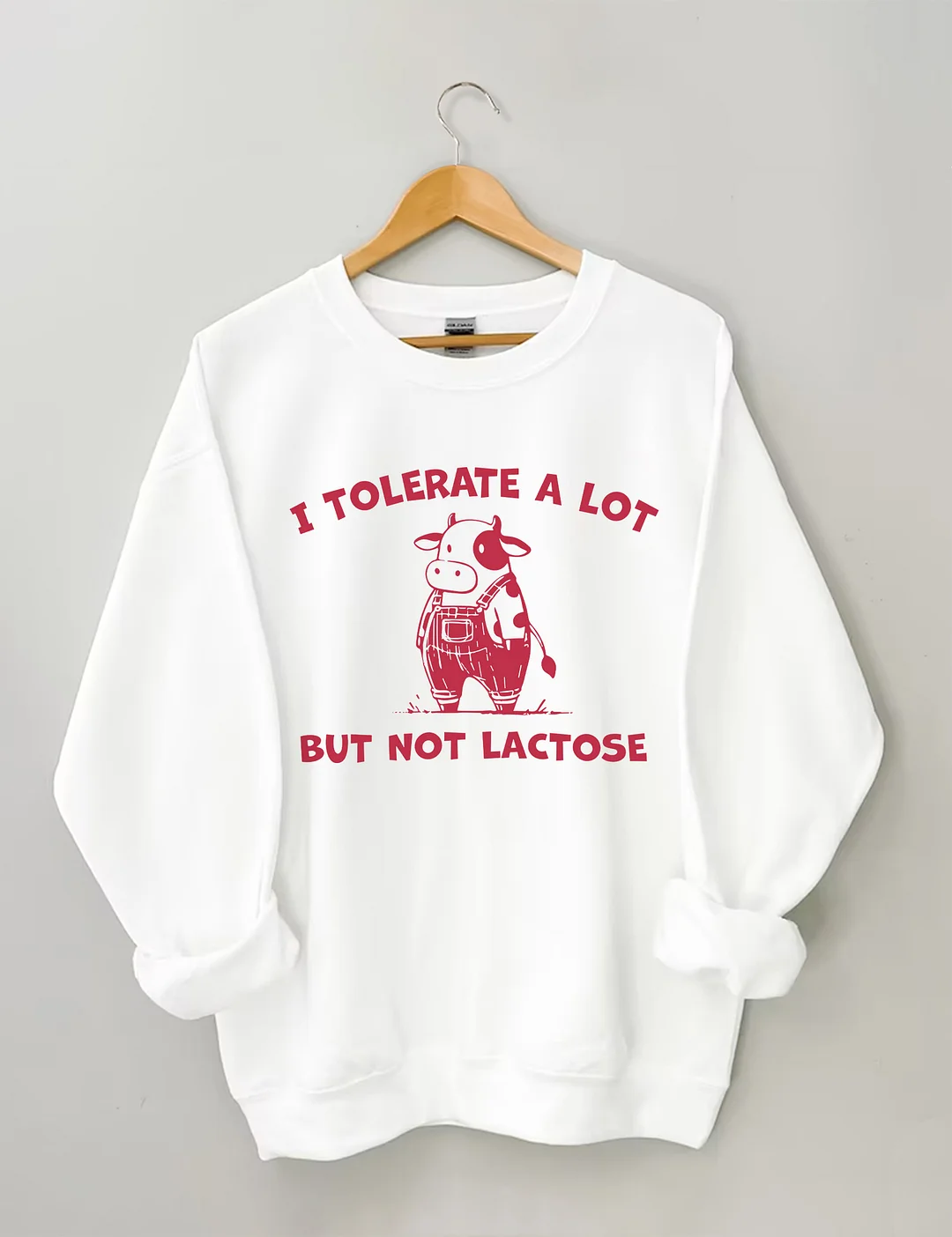 I Tolerate A Lot But Not Lactose Funny Sweatshirt