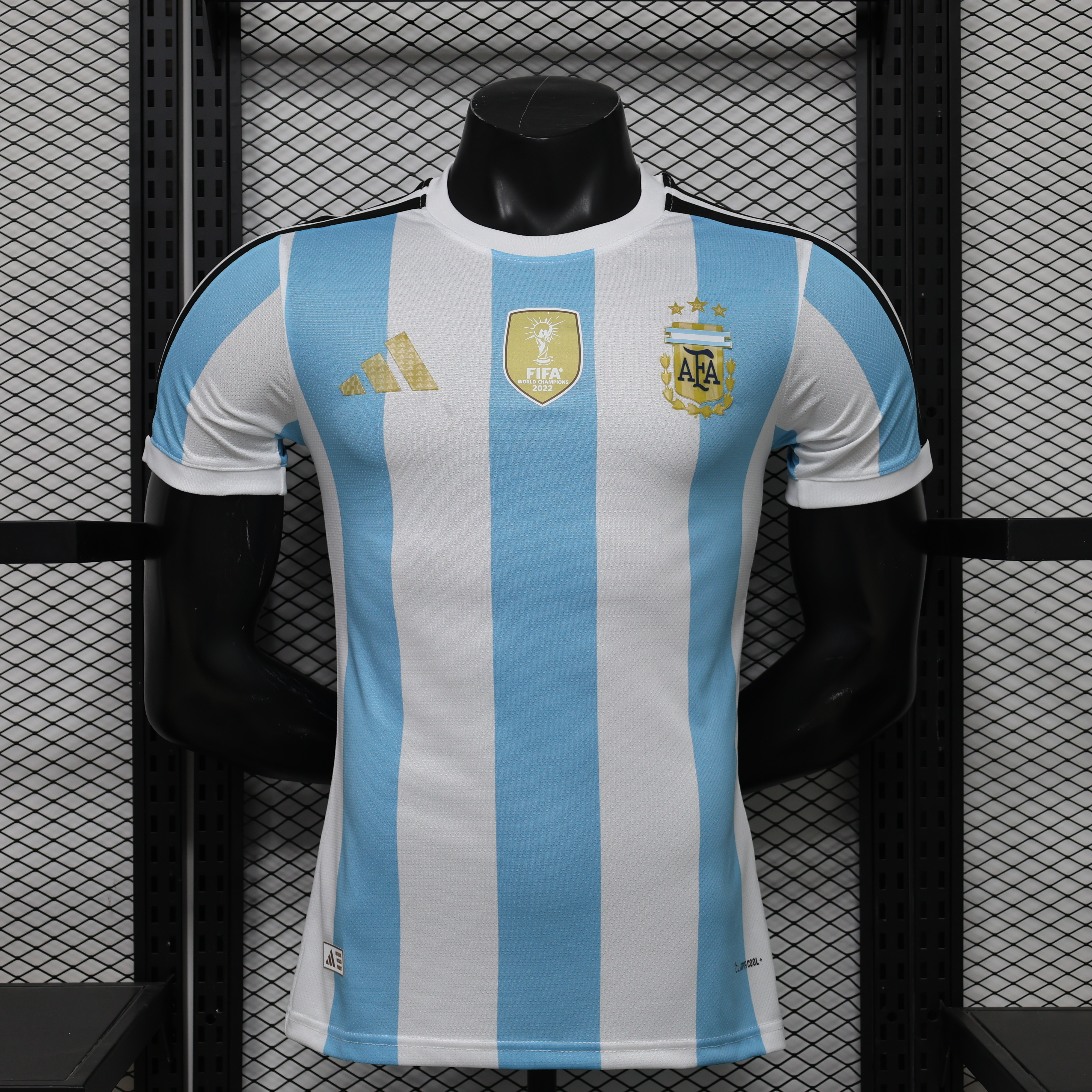 2026/2027-ARG-PV-SPE-FJ-THQ-B022255