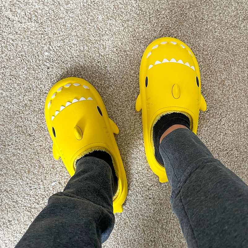 the cloud sharks winter