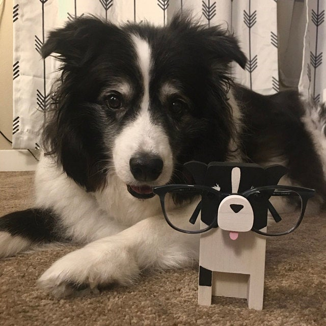 Handmade Border Collie Dog Eyeglasses Stand