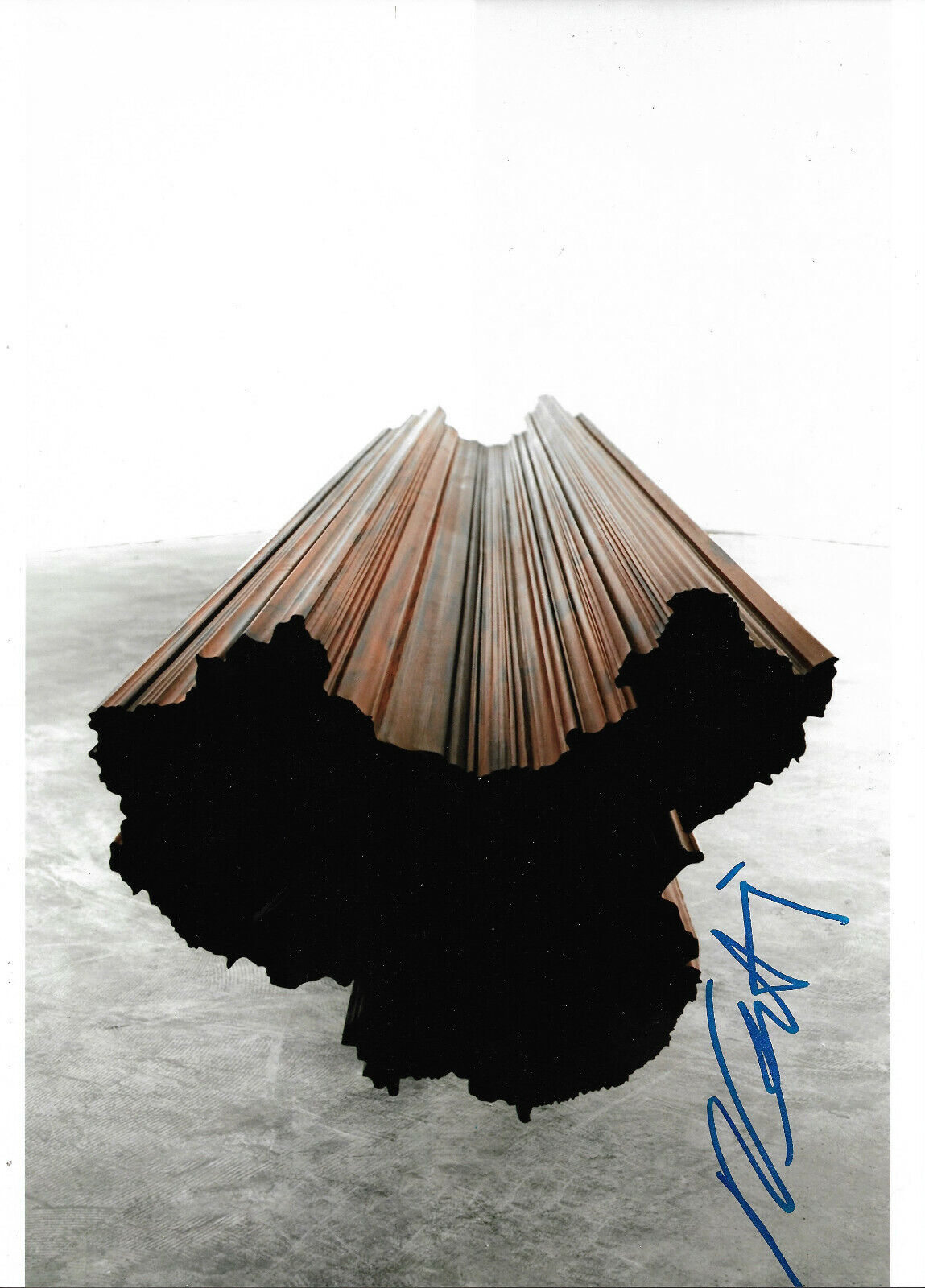 Ai Weiwei Artist signed 8x12 inch Photo Poster painting autograph