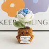(Finished Product)Crochet Flower Potted Doll with Positive Card Desktop Ornaments, Potted Plants, Bouquets Gift Home Decor