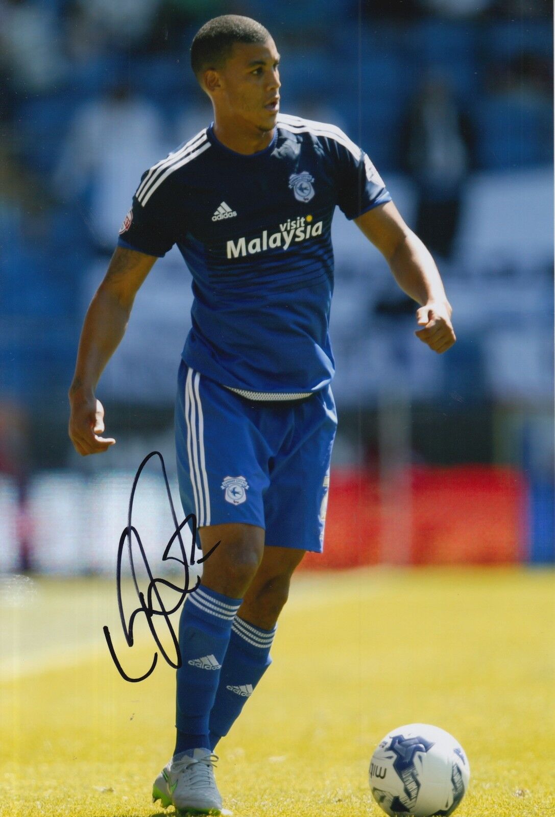 CARDIFF CITY HAND SIGNED LEE PELTIER 12X8 Photo Poster painting.