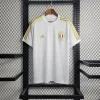 2023/2024 Italy 125th Commemorative Edition Soccer Shirt