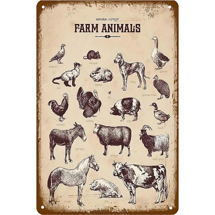 Fresh Eggs Milk - Vintage Tin Signs/Wooden Signs - 20x30cm & 30x40cm