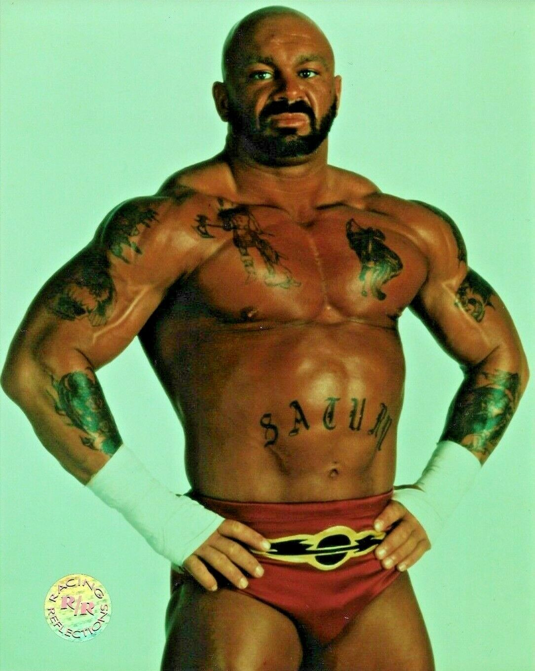 WWE PERRY SATURN OFFICIAL LICENSED ORIGINAL RACING AND REFLECTIONS 8X10 Photo Poster painting