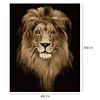 Painting By Numbers -Lion(40*50cm)