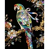 Papagei komplette DIY, 5D-Rundenbohrer, Diamantpunkte, Gem&auml;lde, Bildkunst, Bastelarbeiten f&uuml;r Erwachsene/Anf&auml;nger, Geschenkidee f&uuml;r die Wanddekoration