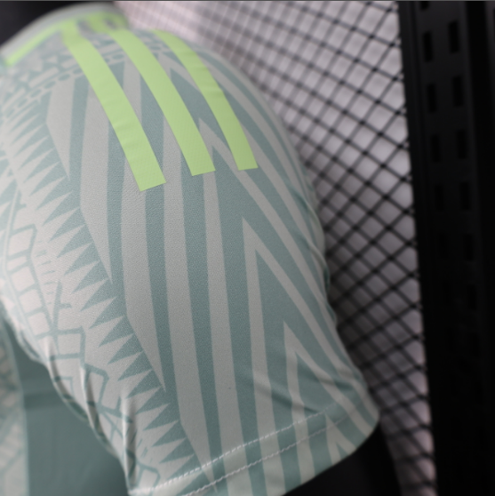 2024 Mexico Away Player Version Football T-Shirt Thai Quality