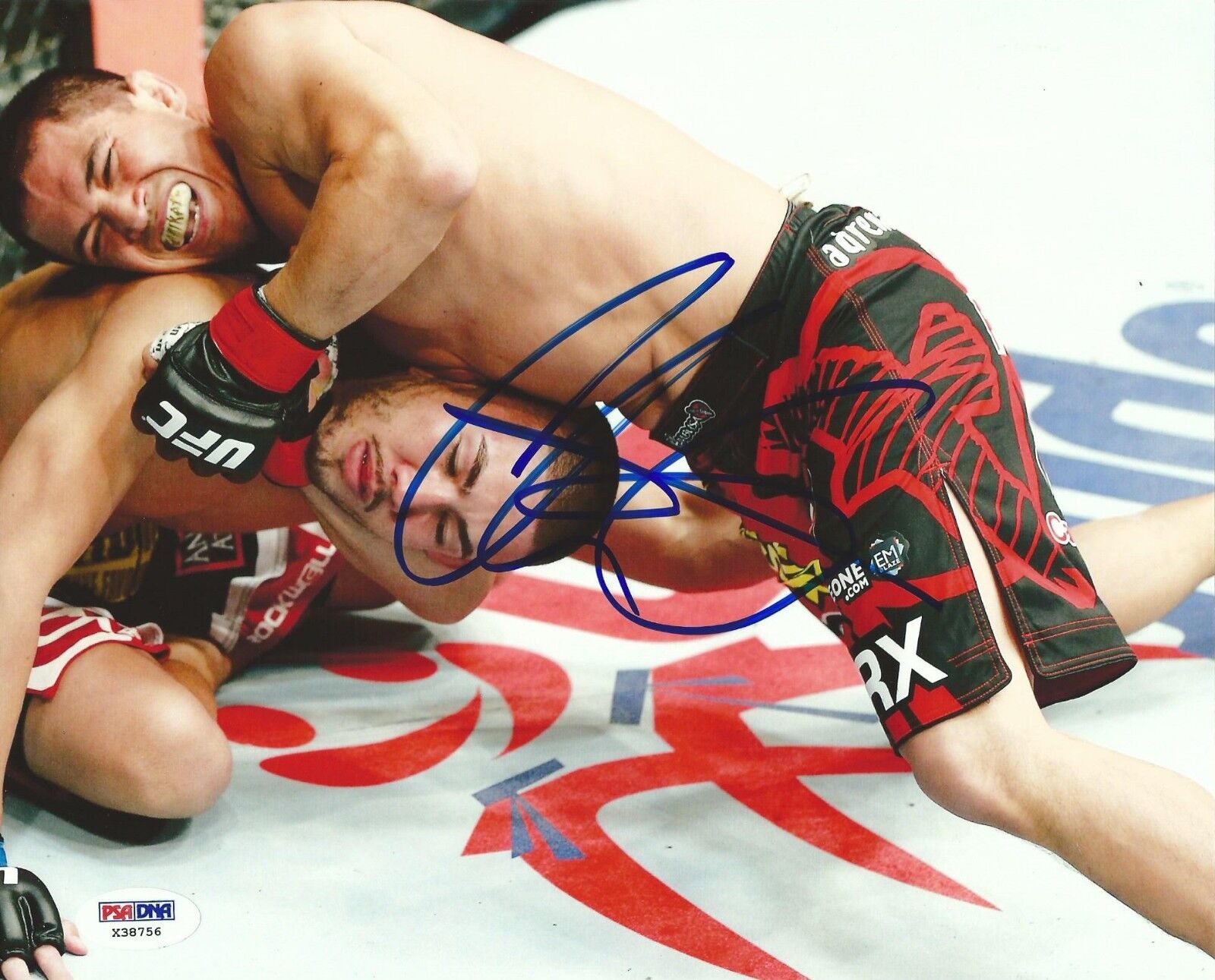 Chris Cariaso Signed UFC 8x10 Photo Poster painting PSA/DNA COA Picture Autograph 178 169 155 53