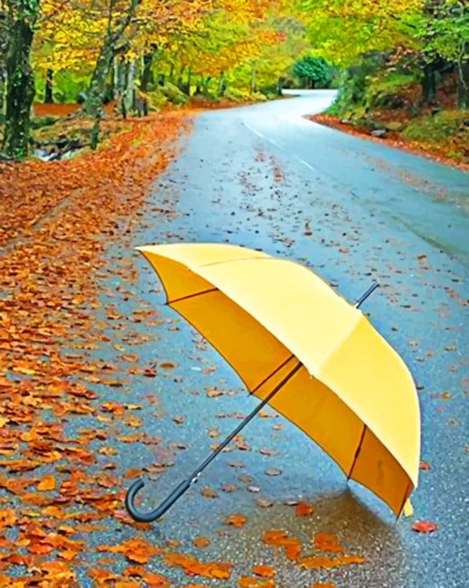 

Yellow Umbrella With Autumn Leaves – Paint By Numbers - 40*50CM, 501 Original