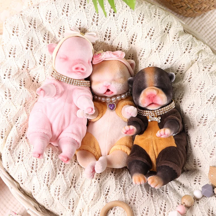 Cute Chubby Puppy On Piano Babeside 8