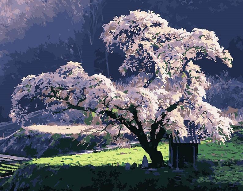 

Holy Cherry Trees – Paint By Numbers - 40*50CM, 501 Original