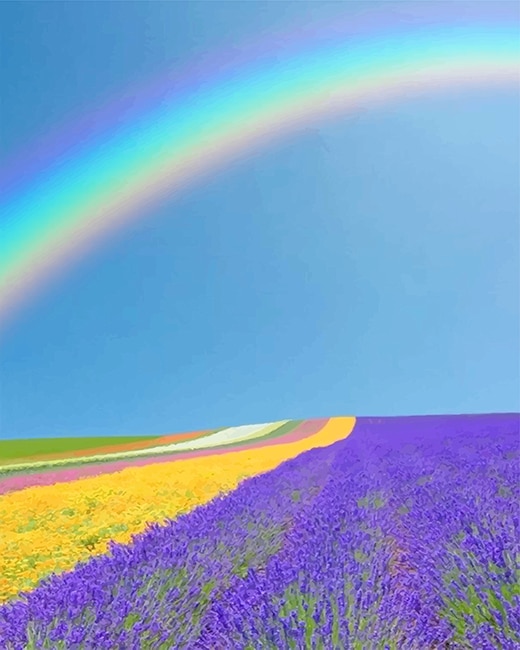 

Rainbow Beautiful Scenery – Paint By Numbers - 40*50CM, 501 Original