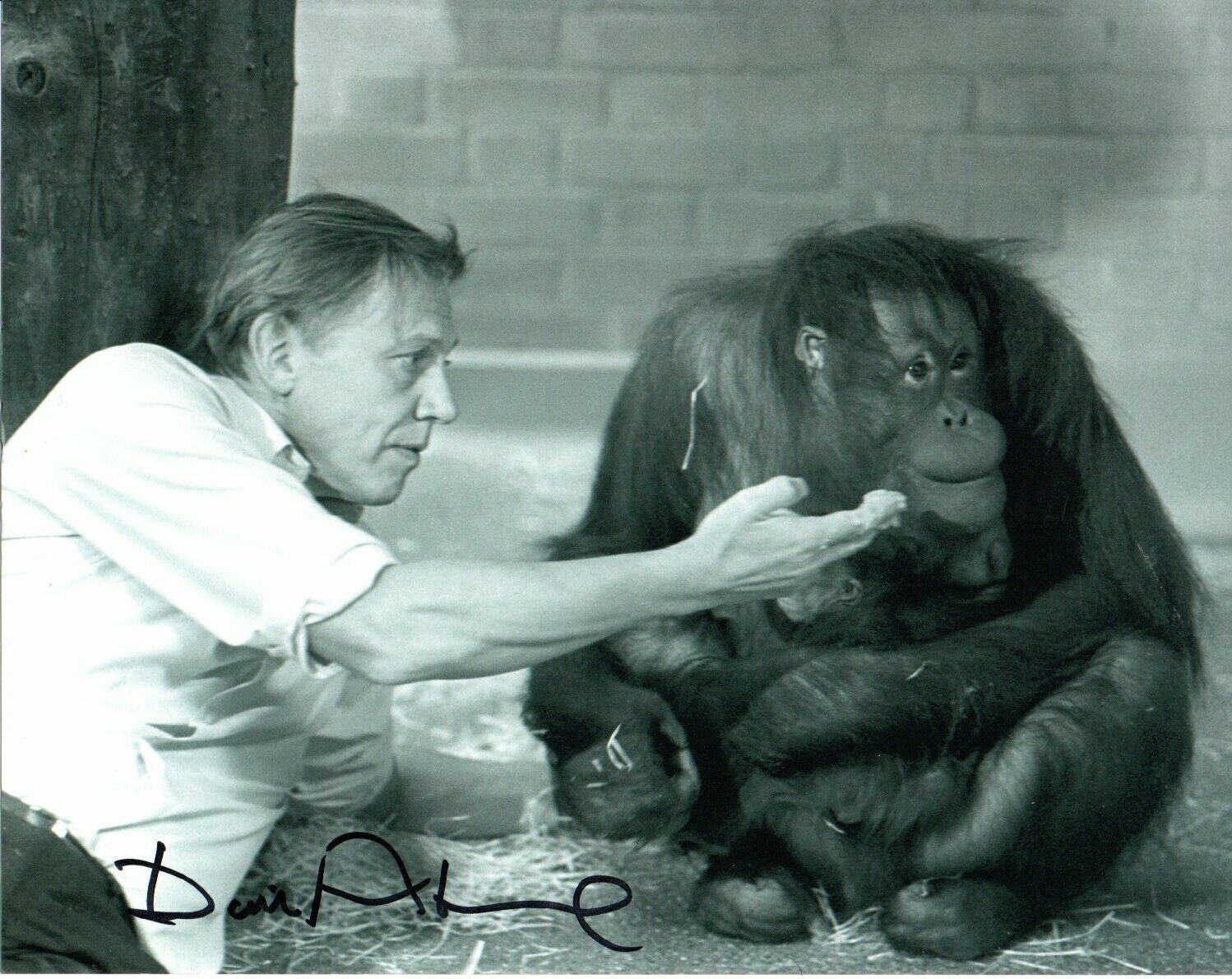 David Attenborough HAND Signed 10x8' Photo Poster paintinggraph Naturalist Broadcaster Autograph