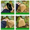Special Bagging for Fruit--Anti-insect and Anti-bacteria, Waterproof and Anti-bird, Breathable and Hygienic