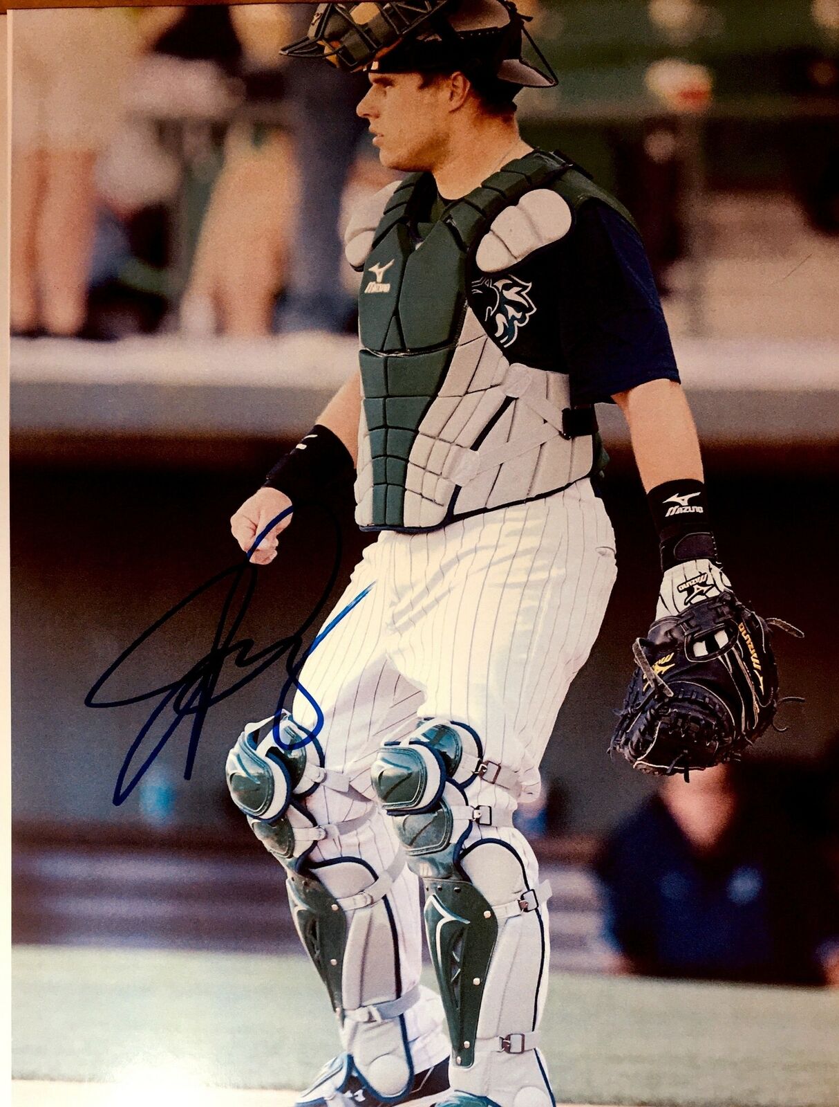 Josh Phegley Signed 8x10 Photo Poster painting Sox Athletics A's Chicago Cubs Autograph Auto