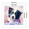 Border Collie Dog-11CT Stamped Cross Stitch 40*40cm
