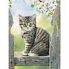 Diamond Painting-DIY Full Square Drill Cat