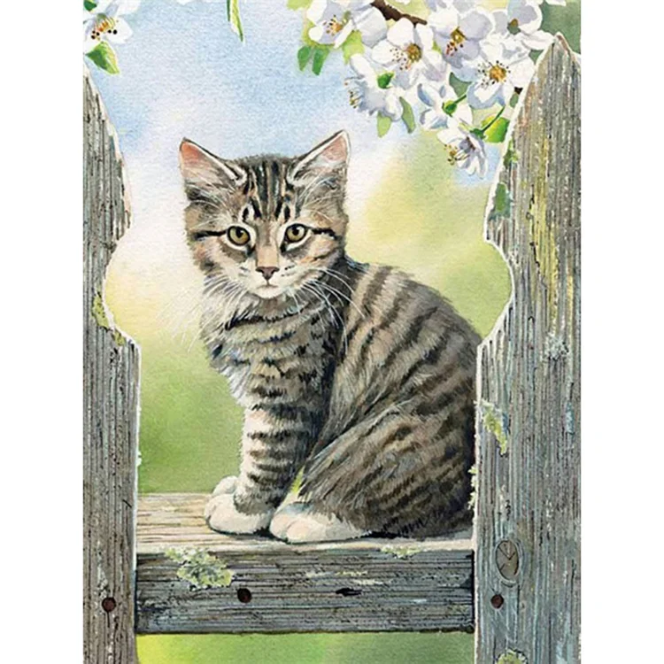 Full Square Diamond Painting - Cat On Wooden Board 30*40CM
