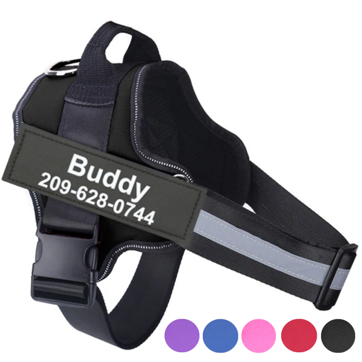  Best Custom Dog Harness No Pull Harnesses With Handle Personalized Name Tag