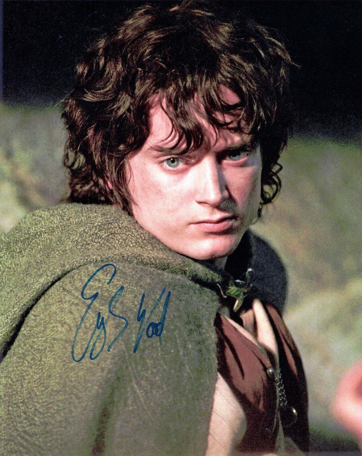 Signed Photo Poster painting of Elijah Wood 10x8