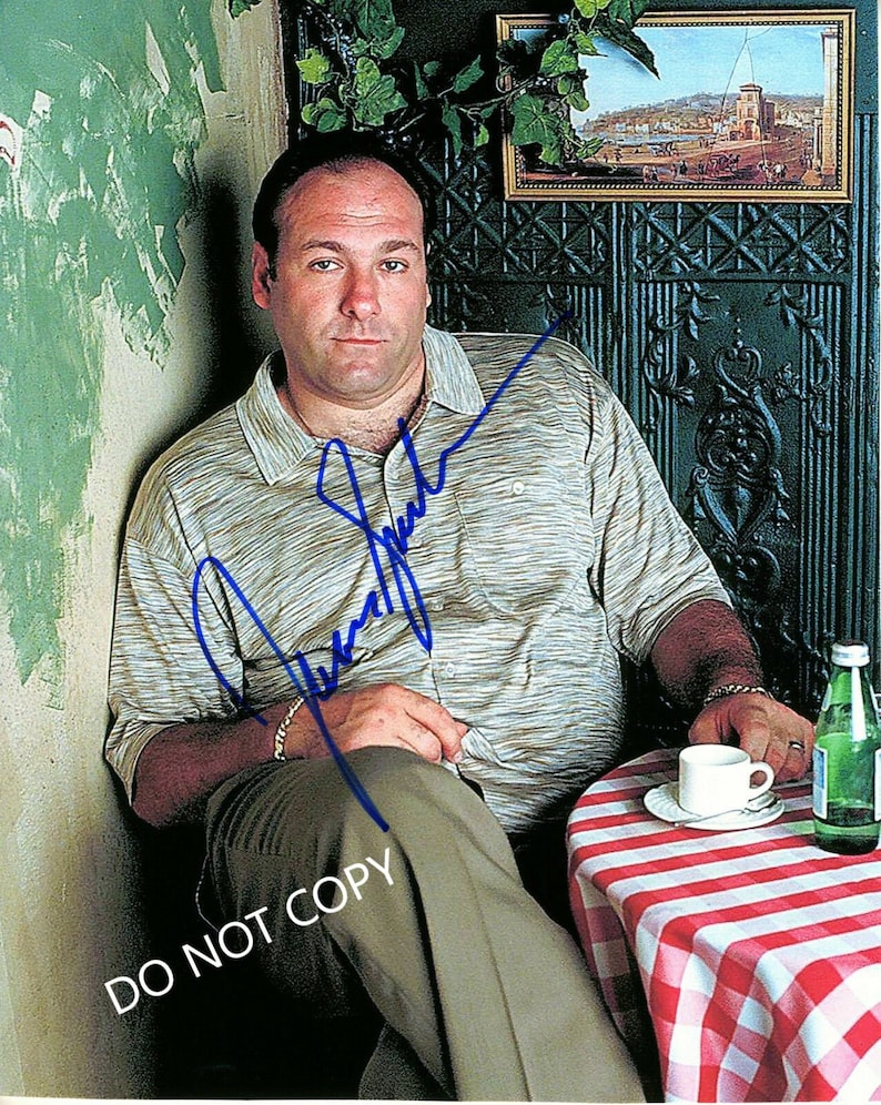 JAMES GANDOLFINI Sopranos 8 x10 20x25 cm Autographed Hand Signed Photo Poster painting