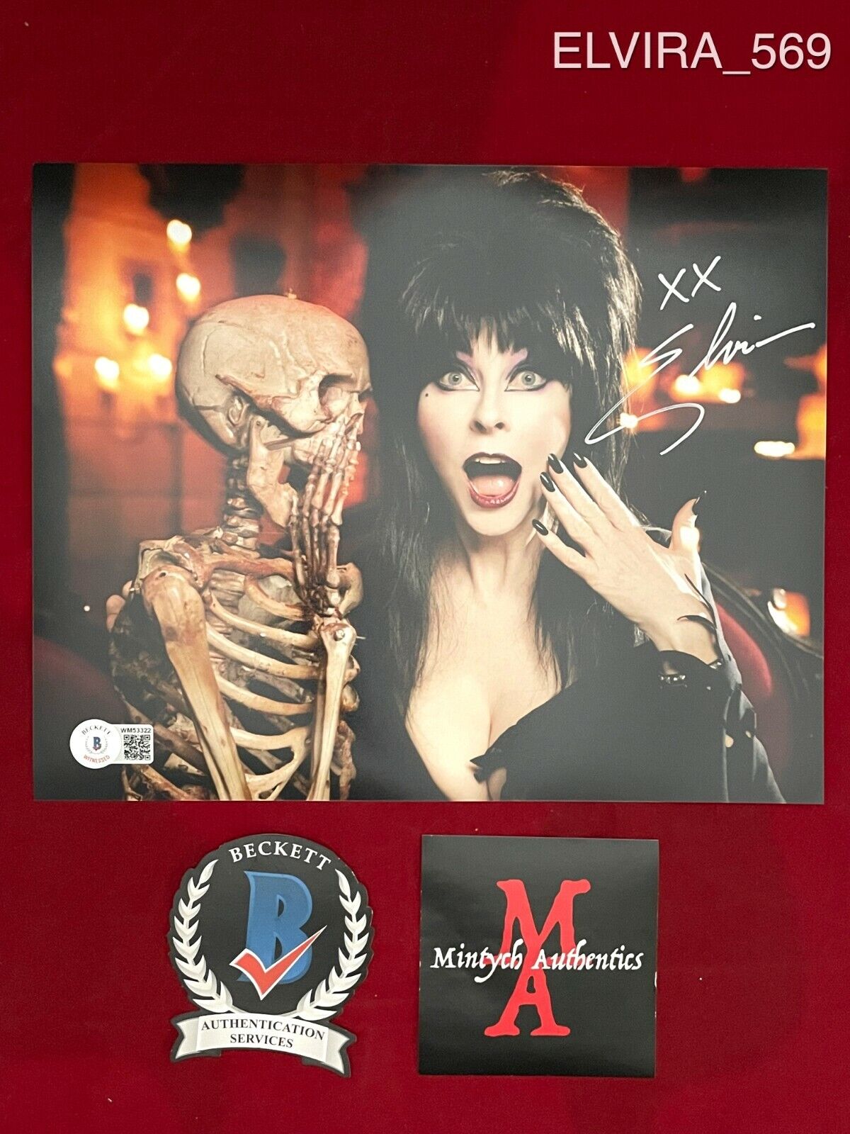 ELVIRA CASSANDRA PETERSON AUTOGRAPHED SIGNED 8x10 Photo Poster painting! BECKETT COA! HORROR!