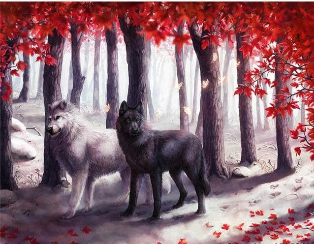 

Black & White Wolves – Paint By Numbers - 40*50CM, 501 Original