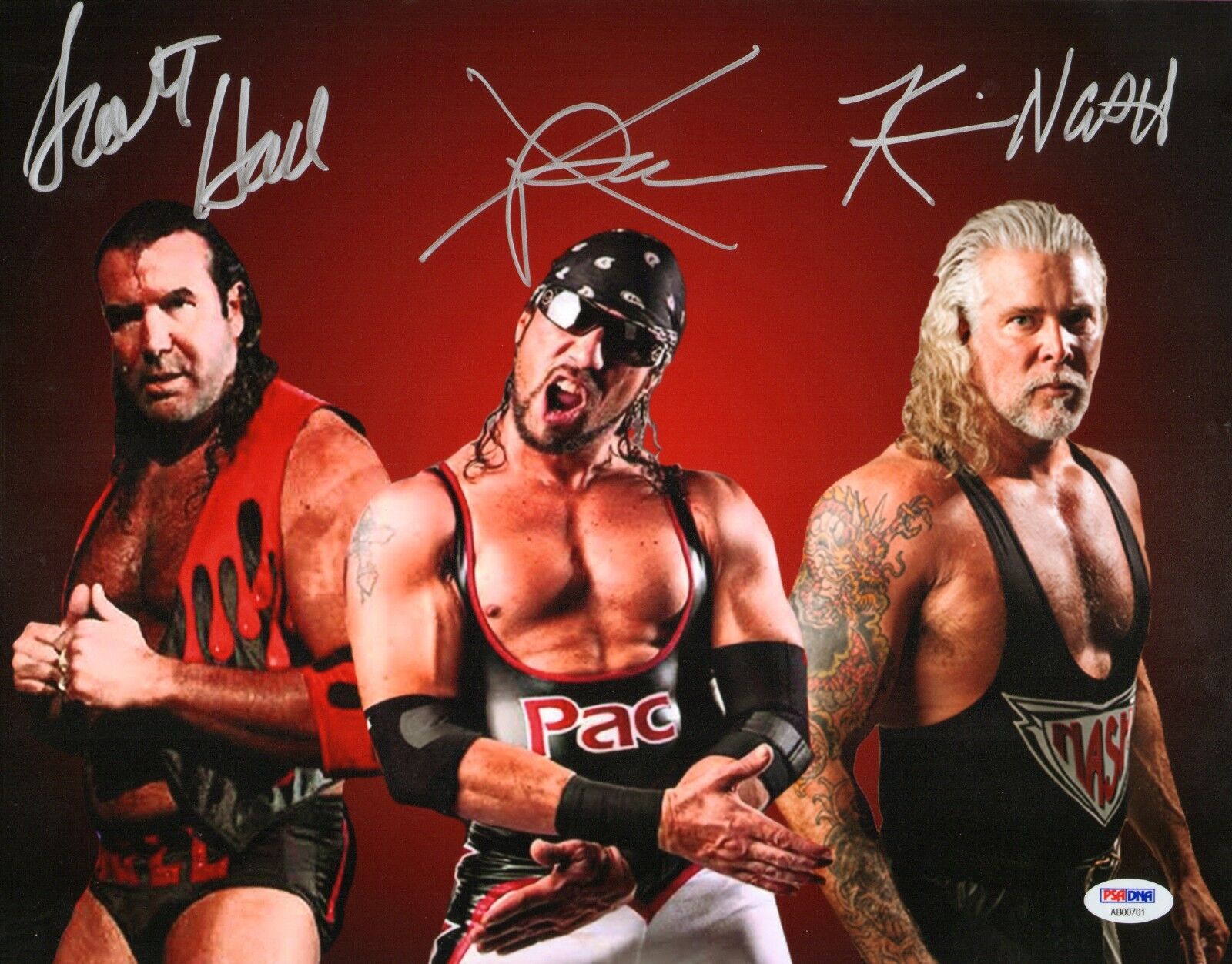 X-Pac Scott Hall Kevin Nash Signed WWE 11x14 Photo Poster painting PSA/DNA COA NWO Wolfpac Auto