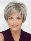 Silver Gray High Temperature Wire Oblique Bangs Wig
