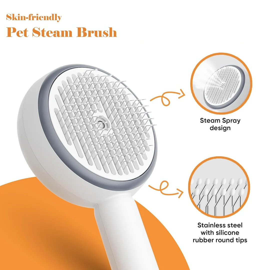 BEBANG Cat Steam Brush 3 in 1, One-Click Hair Removal Brush with Steam for Cats and Dogs