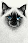 Luxury AB Velvet Diamond Painting Kit - Cat