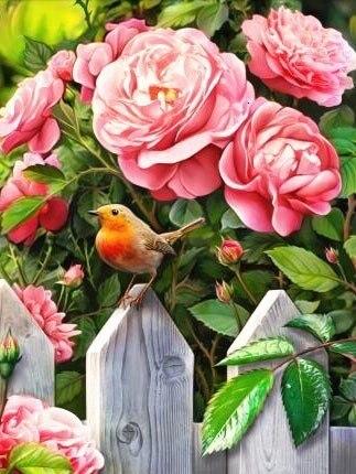 

Bird in the Garden – Paint By Numbers - 40*50CM, 501 Original
