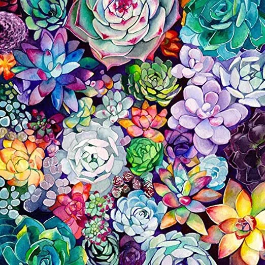 Diamond Painting - Full Round Drill - Succulent Plants(30*30cm)