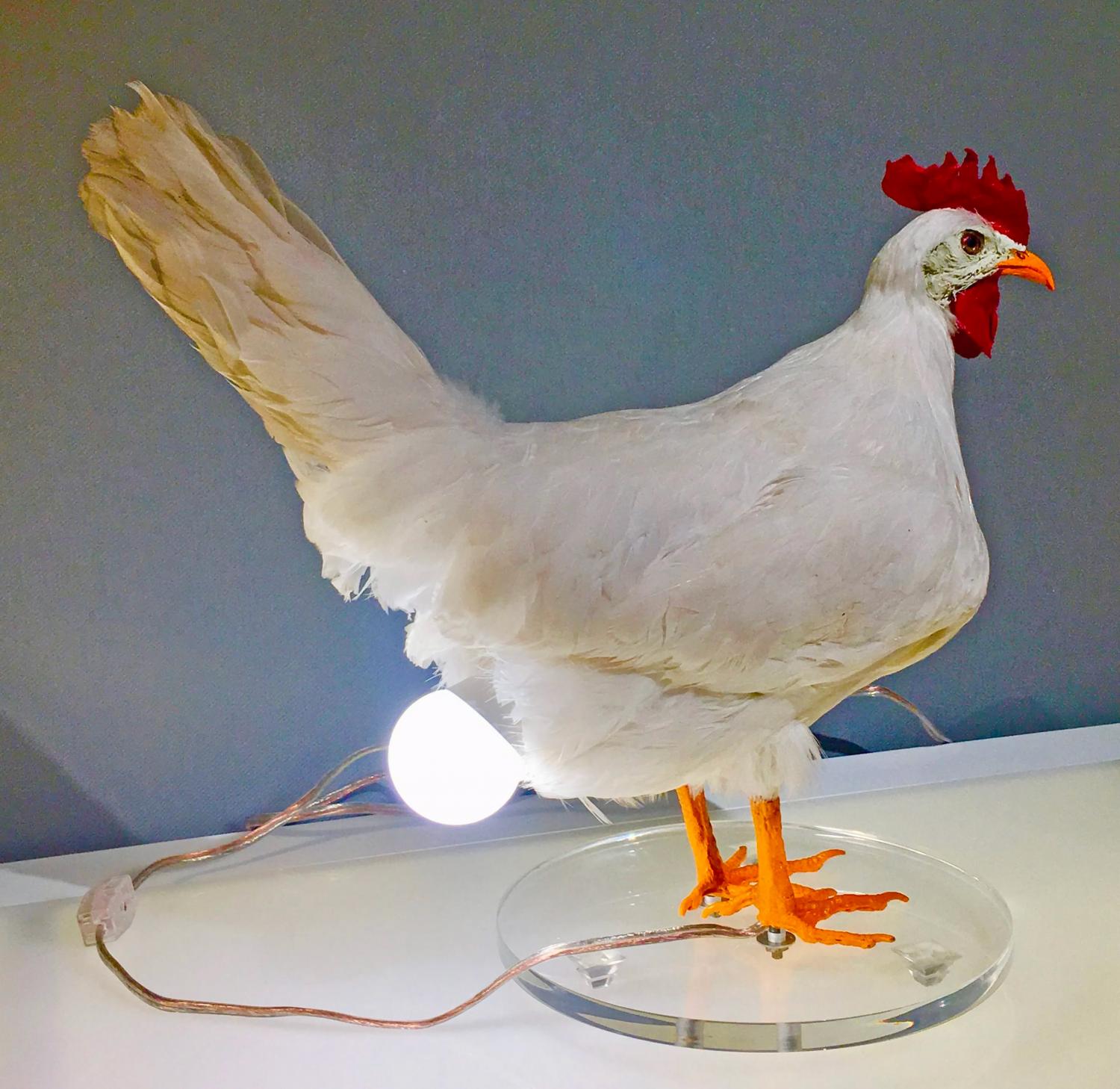 Taxidermy Chicken Egg Lamp