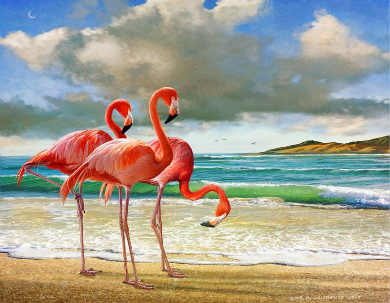 

Flamingo At Beach – Paint By Numbers - 40*50CM, 501 Original