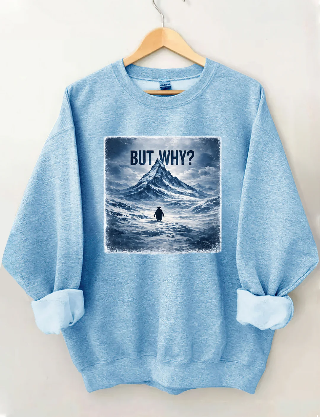 But Why Penguin Sweatshirt