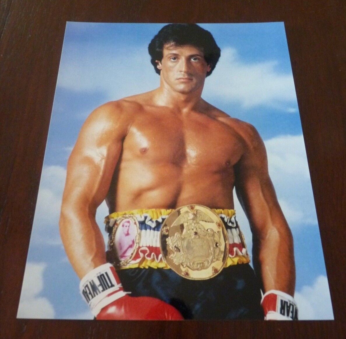 Sylvester Stallone Rocky Sexy 8x10 Color Promo Photo Poster painting