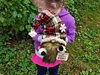 Handmade Checkered Hat Christmas Gnome,[🌲Christmas Special Price] 💖-mysite-Adracos
