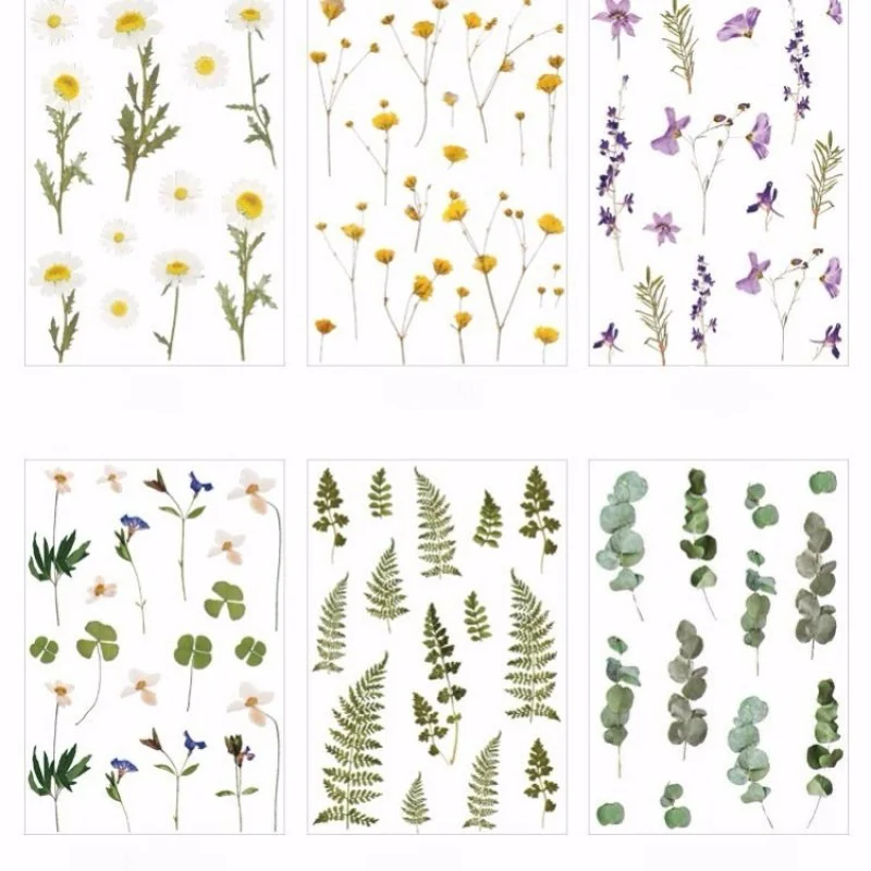 Drip Sticker Mr. Flower PET Hand Curtain Transparent Bag Waterproof Refrigerator Small Fresh Plant Decoration Decal