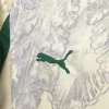 25/26 Palmeiras Special Soccer Jersey