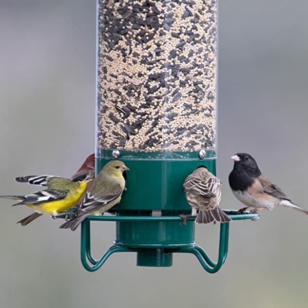 Compre Alimentador de Pájaros Colgantes a Prueba de Ardilla de Alta Dureza  Alimentador de Pájaros de Metal Con 4 Puertos de Alimentación Para el Patio  de Jardín Exterior en China