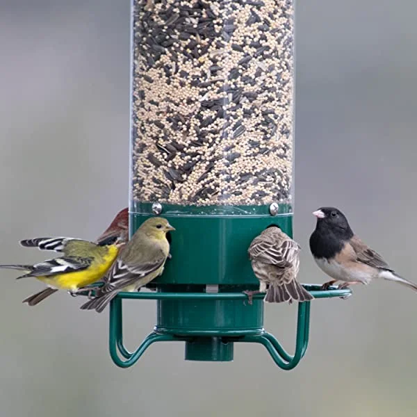💥💥New Spring 2023💥100% Squirrel-Proof Bird Feeder