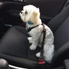 Paw Safe Seat Belt
