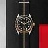 Tudor Black Bay GMT S&G