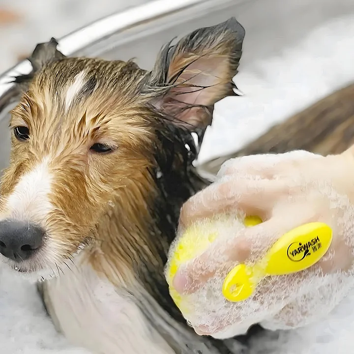 いぬびすページ♡⃜ あぬびす (@Anubis_poke) / X