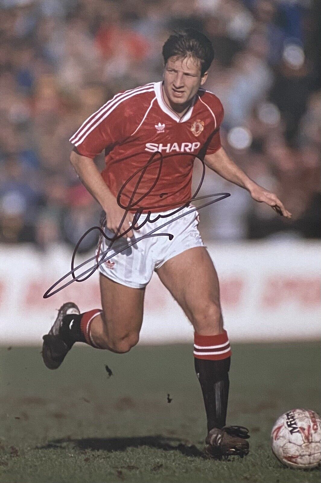 Lee Martin Genuine Hand Signed Manchester United 12x8 Photo Poster painting 6