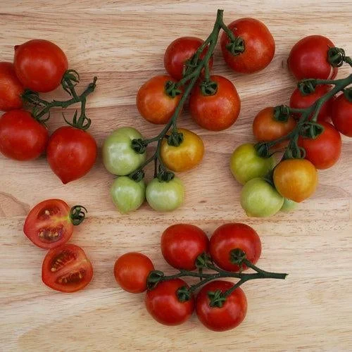 Tempting Tomatoes - Goodhearted