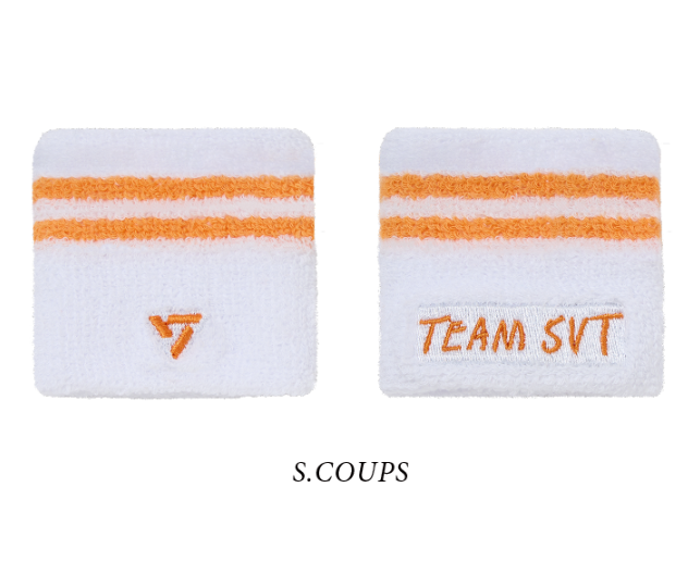 SEVENTEEN Tour Follow Again Japan Wrist Band officialsvtshop